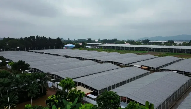 技术外包成果转化的适用边界分析